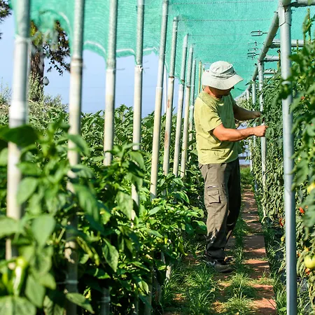 Alexandra Elegance Bridging Generations (adults Only) Hotel Potos