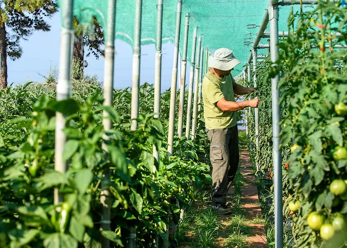 Alexandra Elegance Bridging Generations (adults Only) Ξενοδοχείο Ποτός